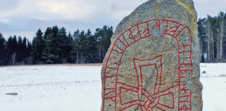 Runic Book of Days, by S. Kelley Harrell Runic Book of Days by S. Kelley Harrel