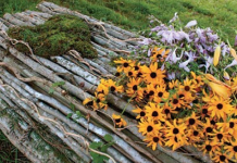 Reimagining Death, by Lucinda Herring Reimagining Death by Lucinda Herring