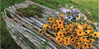 Reimagining Death, by Lucinda Herring Reimagining Death by Lucinda Herring