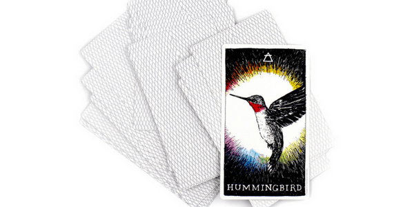 Detail of Hummingbird, from The Wild Unknown_ Animal Spirit, by Kim Krans