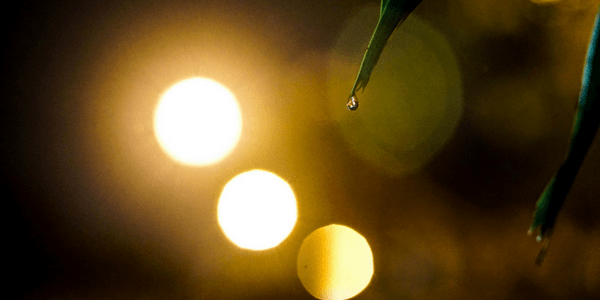 Definition of Paganism Dreaming, photo by tahiyatul