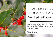 December 2018 financials for Spiral Nature Magazine Financials for Spiral Nature December 2018