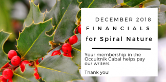 December 2018 financials for Spiral Nature Magazine Financials for Spiral Nature December 2018