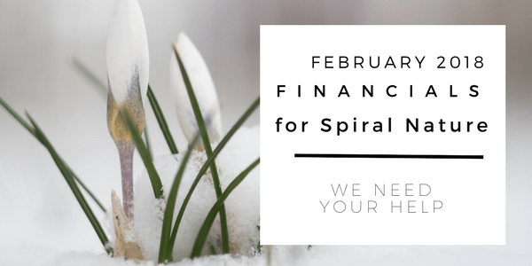 Financials for Spiral Nature February 2018