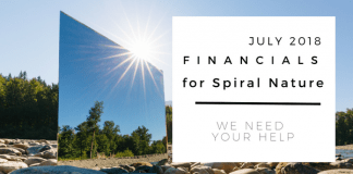 July 2018 financials for Spiral Nature Magazine