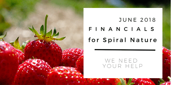June 2018 financials for Spiral Nature Magazine Financials for Spiral Nature June 2018