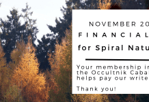 November 2018 financials for Spiral Nature Magazine Financials for Spiral Nature November 2018
