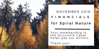 November 2018 financials for Spiral Nature Magazine Financials for Spiral Nature November 2018
