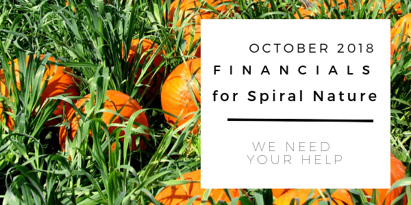 Financials for Spiral Nature October 2018
