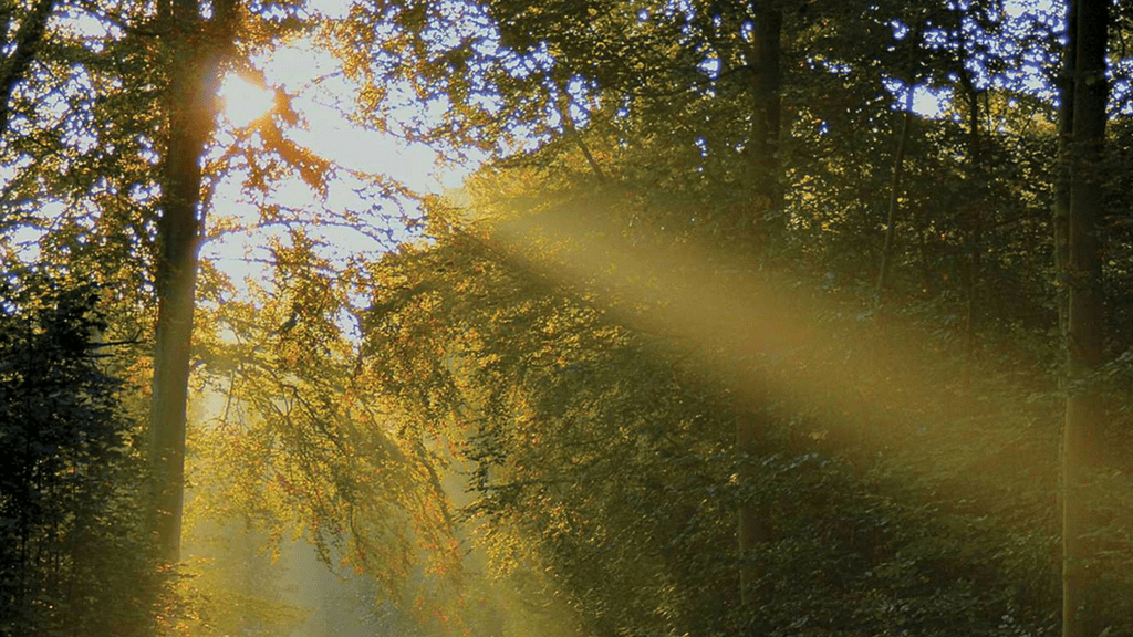 Five Meditations on Death, by Francois Cheng Five Meditations on Death, by Francois Cheng