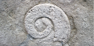 Connecting with the ancient wisdom of fossil magick Gastropod fossil, photo by James St. John