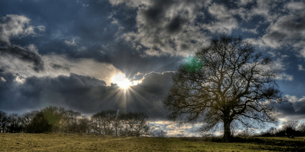 Hampstead Heath, photo by Olivier