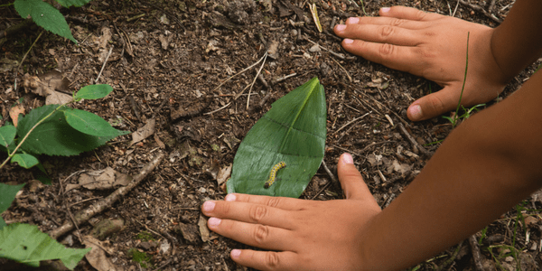 Hands in dirt with leaf and caterpiller, photo by LibreShot