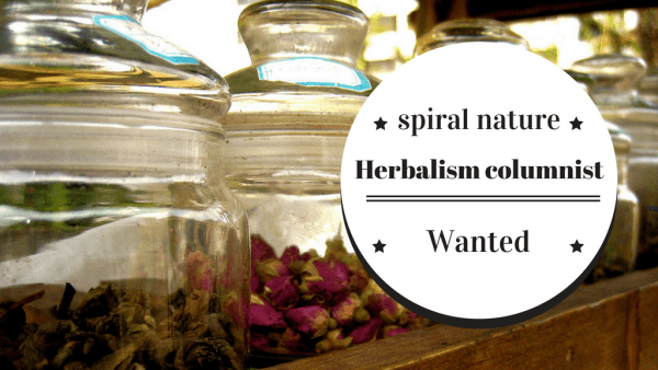 Herbalism columnist wanted
