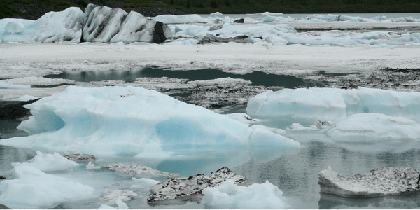 Ice, photo by Cindy Zackowitz