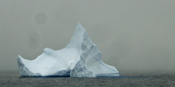 Iceberg, photo by Sonny Cohen