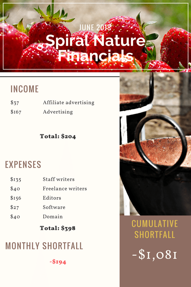 June 2018 Spiral Nature Financials