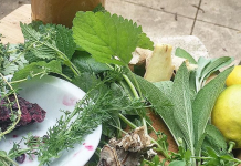 Connecting with lemon balm: Joy, abundance, and success Lemon, Lemon Balm, and Healing Herbs