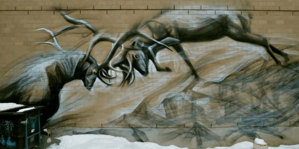 Racism in magical communities Locked horns graffiti in Toronto, photo by Mary Crandall