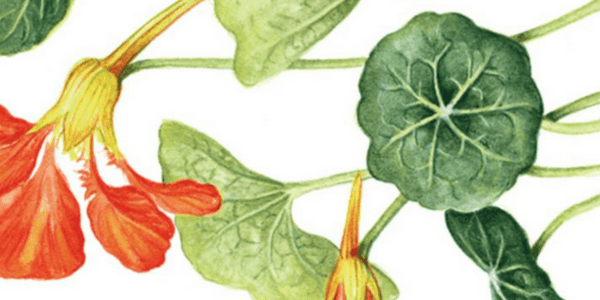 Magic When You Need It, by Judika Illes Magic When You Need It, by Judika Illes