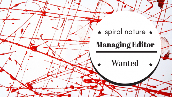 Managing editor wanted