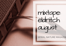 Mixtape: Eldritch August Mixtape: Eldritch August 2018, photo by Andrew Malone, with work from Psyche