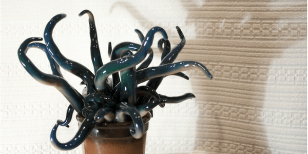 Monster plant resembles Cthulhu, photo by hris Moody