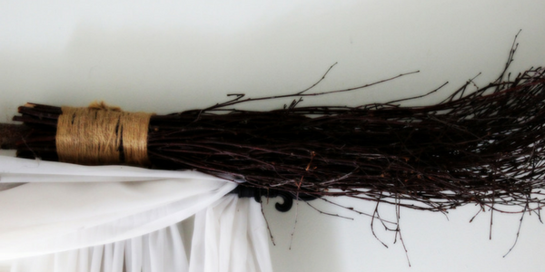 Natural broom, photo by Thomas Autumn