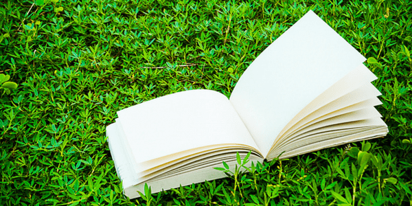 Open blank book on the grass, photo by auimeesri