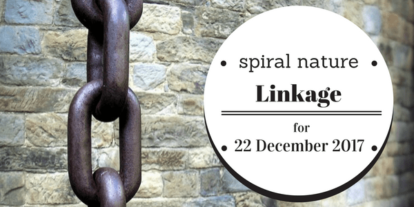 Linkage: Lunar relationships, Yule goats, and crystal bongs Spiral Nature Linkage Friday, 22 December 2017