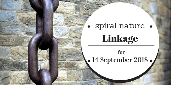 Spiral Nature Linkage for Friday, 14 September 2018