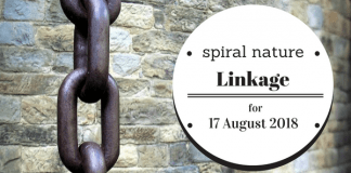 Linkage: Austin Osman Spare, queerness, and faery courts Spiral Nature Linkage for Friday, 17 August 2018