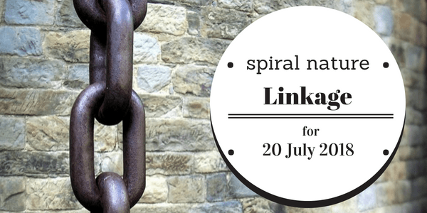 Linkage: Poppets, invocations, and shadow work Spiral Nature Linkage for Friday, 20 July 2018