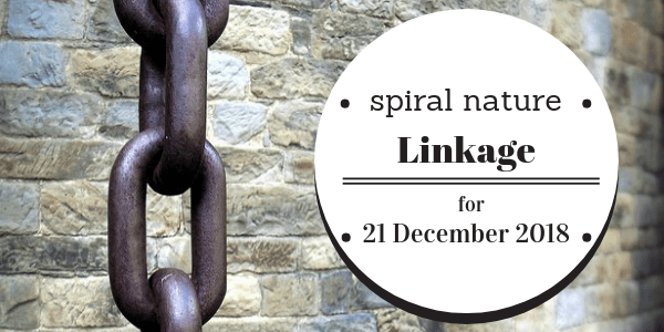 Spiral Nature Linkage for Friday, 21 December 2018