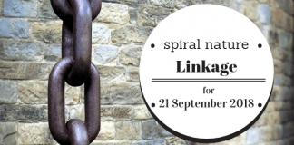 Linkage: Community, circles, and myths Spiral Nature Linkage for Friday, 21 September 2018