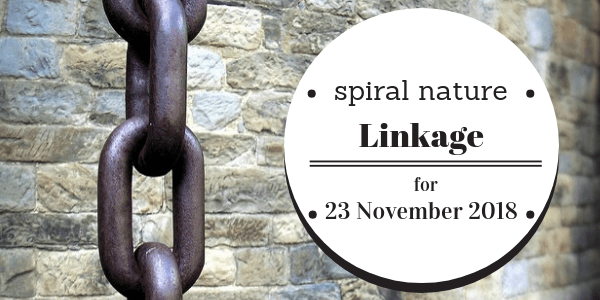 Spiral Nature Linkage for Friday, 23 November 2018
