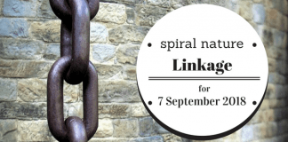 Linkage: Ereshkigal, geomancy, and pilgrimages Spiral Nature Linkage for Friday, 7 September 2018