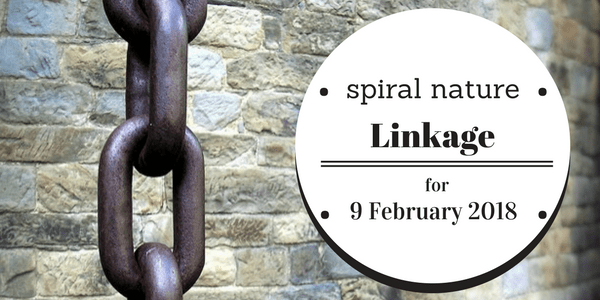 Linkage: Magical powers, spell oils, and the Olympic Games Spiral Nature Linkage for Friday, 9 February 2018