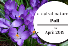 Poll: How is it already April? Spiral Nature Poll for April 2019