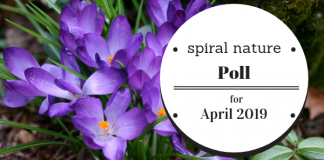 Poll: How is it already April? Spiral Nature Poll for April 2019