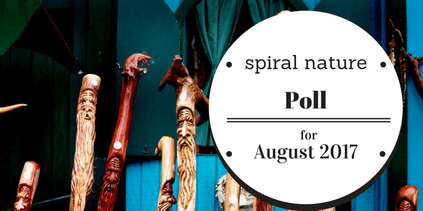 Poll: Have you ever gone on a pilgrimage? Spiral Nature Poll for August 2017