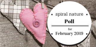 Poll: Are love spells ethical? Spiral Nature Poll for February 2019