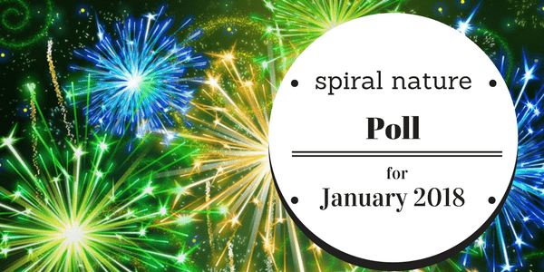 Poll: What do you want to change in 2018? Spiral Nature Poll for January 2018