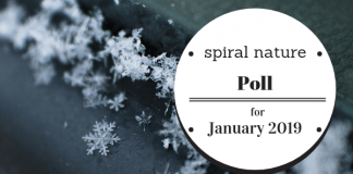 Poll: Did you keep last year’s resolution? Spiral Nature Poll for January 2019