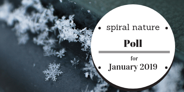 Spiral Nature Poll for January 2019
