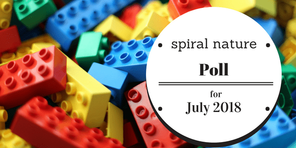 Poll: Which magical model do you lean towards? Spiral Nature Poll for July 2018