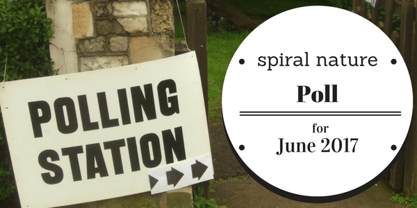 Poll: Do you garden? Spiral Nature Poll for June 2017