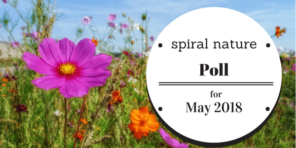 Poll: If April brought showers, May brings… Spiral Nature Poll for May 2018