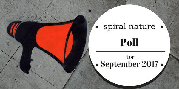 Poll: Do you consider yourself an activist? Spiral Nature Poll for September 2017