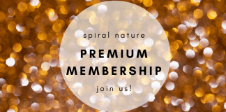 Introducing Spiral Nature Premium Membership Spiral Nature Premium Membership